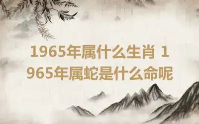 1965 属相|1965年属什么生肖 